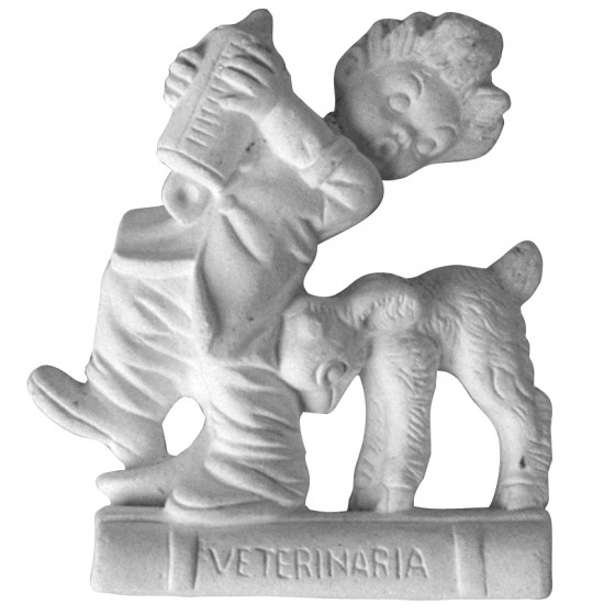 Stampo in gomma veterinario Pr 94 cm.10