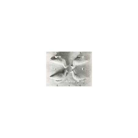 Stampo in plastica Colombe nﾰ18