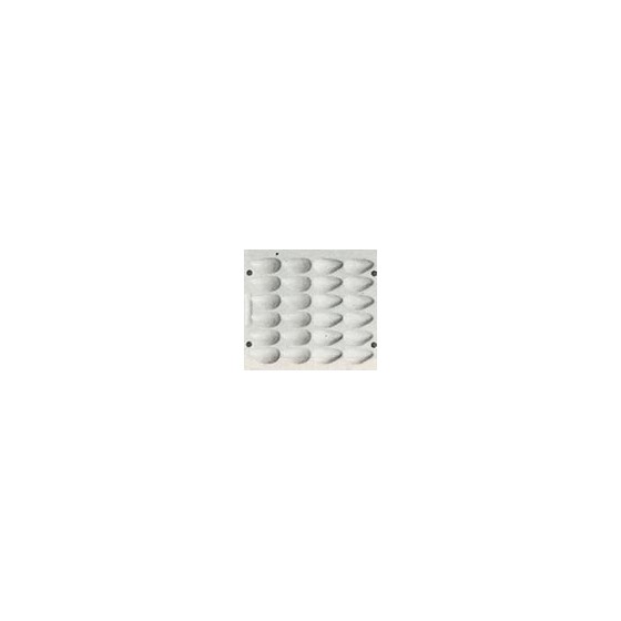 Stampo in plastica Cozze nﾰ1