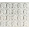 Stampo in plastica Biscottini nﾰ1