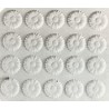 Stampo in plastica Biscottini nﾰ3