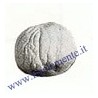 Stampo in plastica Fruttini nﾰ6