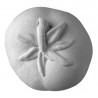 Stampo in gomma pomodoro T 177 cm.2