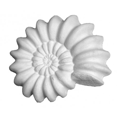 Stampo in gomma conchiglia marina Pr 192 cm.8*10