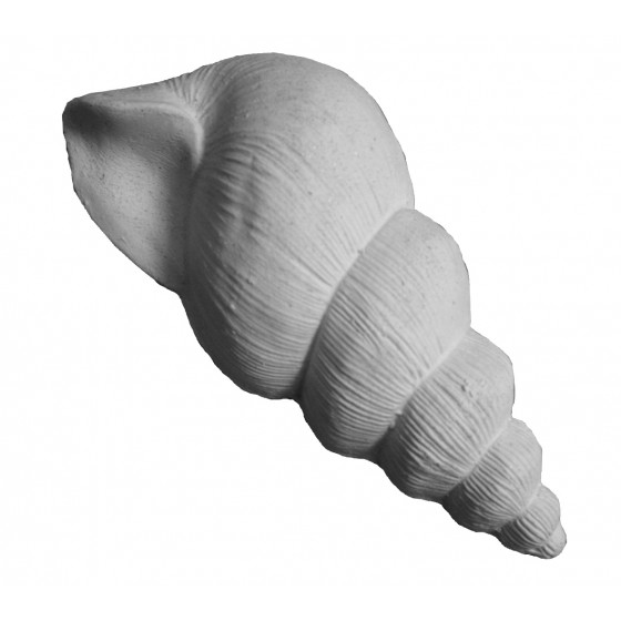 Stampo in gomma conchiglia Pr 196 cm.13*6